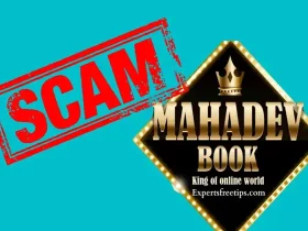 Mahadev App Scam: ₹1100 Crore Worth of Stock Market Shares Put on Hold