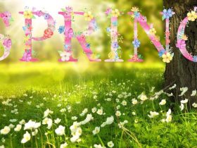 First day of spring in 2024? Know about the vernal equinox