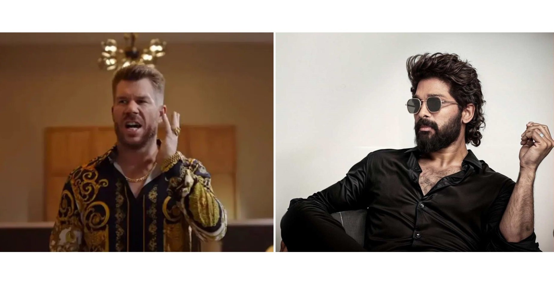 David Warner and Allu Arjun