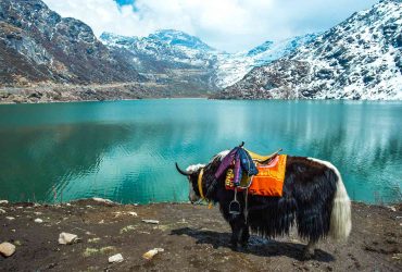 Sikkim Indo-China Border Road Crumbling: Urgent Repairs Needed, Residents Charging for Rescues